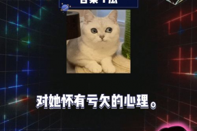 娱乐圈吃瓜爆料游戏教程,揭秘明星幕后故事，轻松上手成为“瓜王”