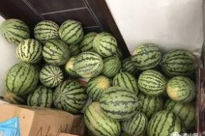 网上吃瓜群可靠吗,信息真伪难辨，可靠度几何？